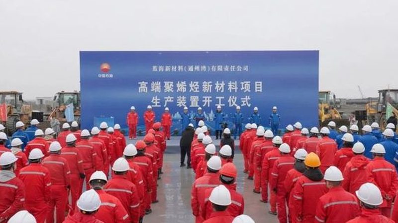 化学助剂与原料：如何在河北区分它们？**