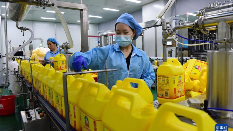 环保型塑料助剂：助力绿色制造的未来之路